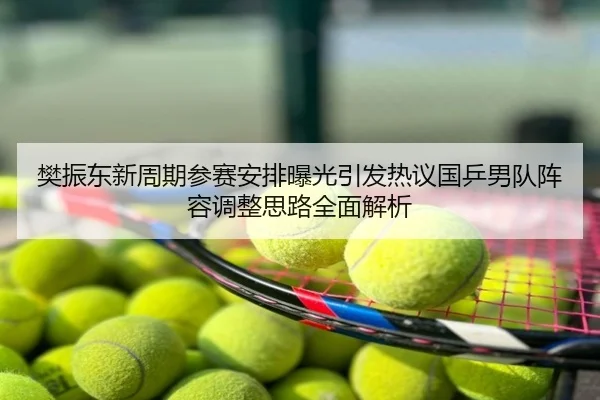 樊振东新周期参赛安排曝光引发热议国乒男队阵容调整思路全面解析