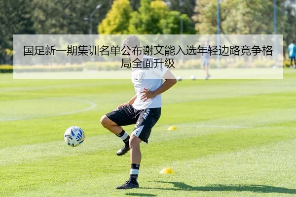 国足新一期集训名单公布谢文能入选年轻边路竞争格局全面升级