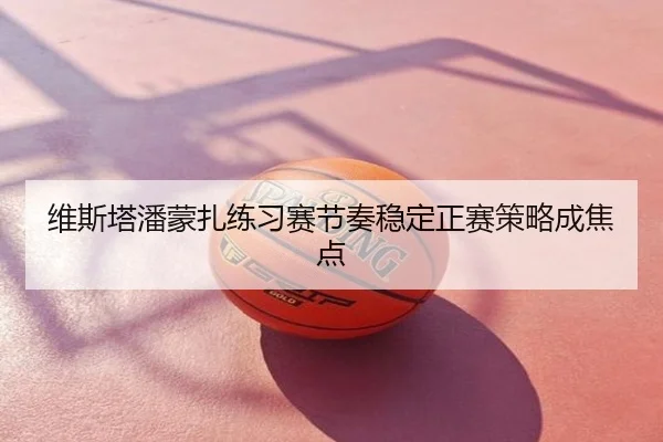 维斯塔潘蒙扎练习赛节奏稳定正赛策略成焦点